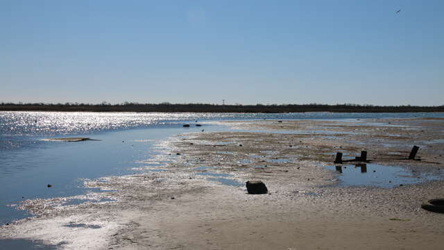 En voiture dans le salin