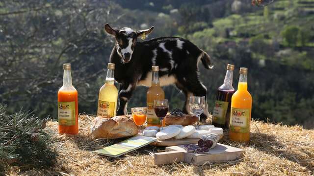 De Ferme en Ferme en Ardèche Hermitage
