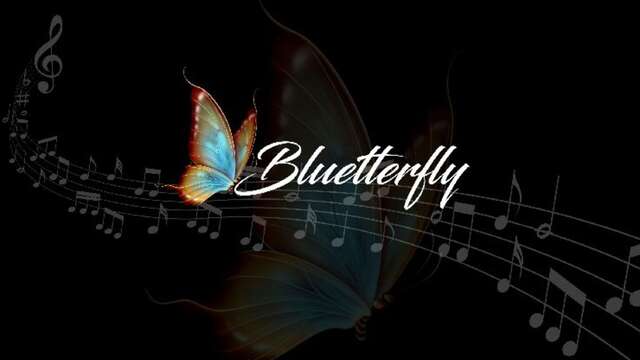 BLUETTERFLY concert - marché de noël