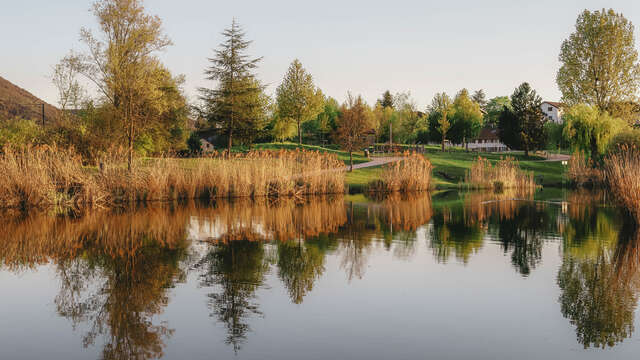 Pêche au lac de Machilly