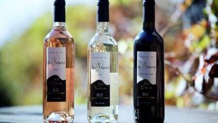 Une dégustation de vin au Domaine de la Source