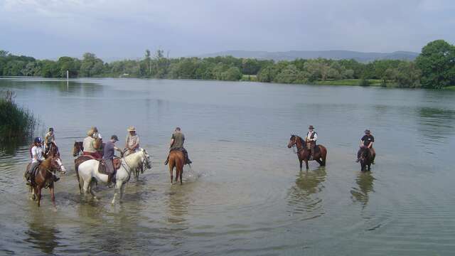 Ferme Passion - Equestrian Center