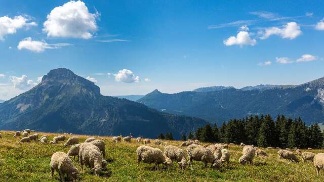 Prenez de la hauteur au Col du Coq !