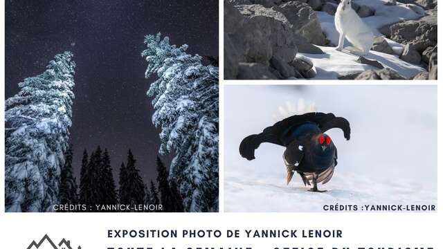 Fotokonferenz von Yannick Lenoir