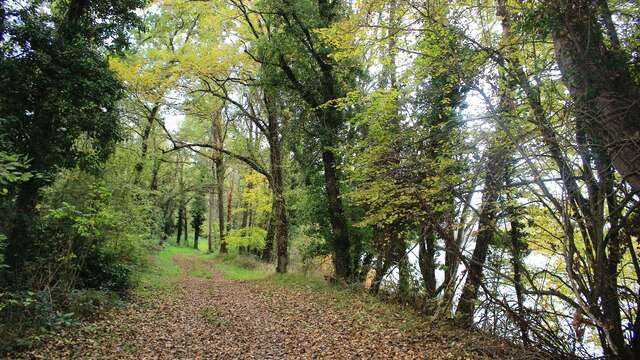 Craintilleux / Boisset-Les-Montrond - à la découverte des bords de Loire