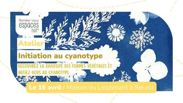 Atelier : "Initiation au Cyanotype"