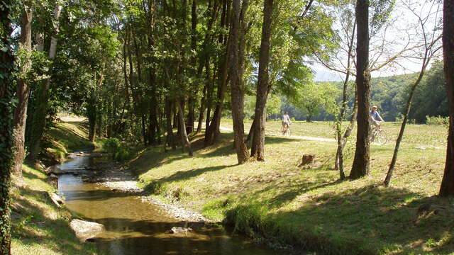 Mit dem Mountainbike entlang des Chemin du Foron