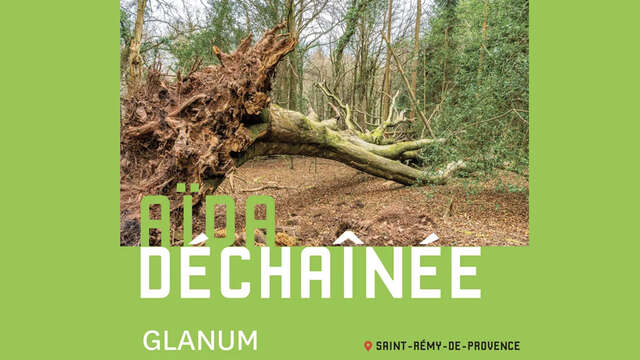 Opéra : "Aïda déchainée" à Glanum