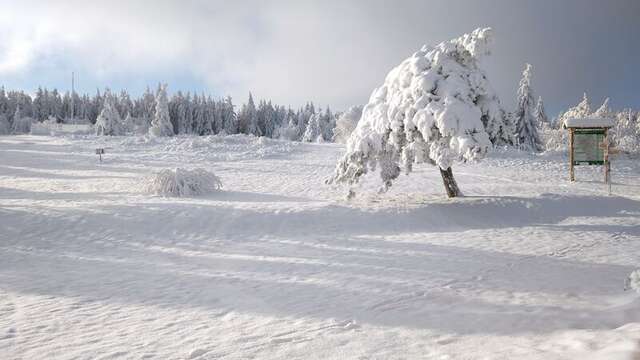 Piste de raquette verte de la Verrerie