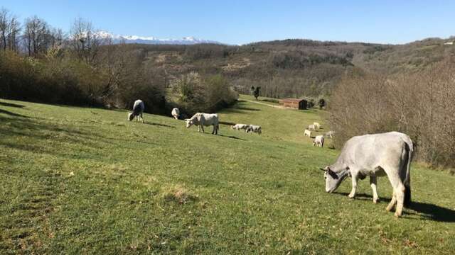 La Ferme de la Besse