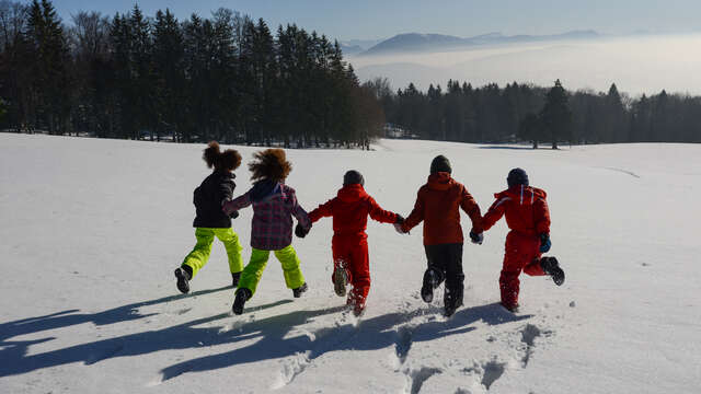 Animation rund um die Tiere im Winter