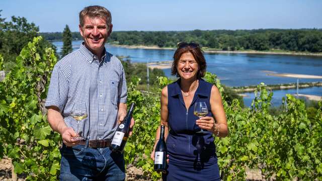 Découverte de l’appellation Savennières