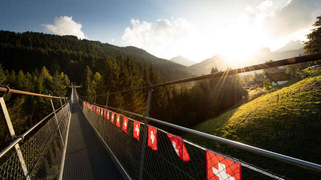 Le pont suspendu