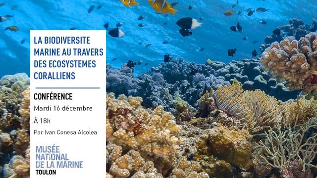 Conférence - La biodiversité marine au travers des écosystèmes coralliens