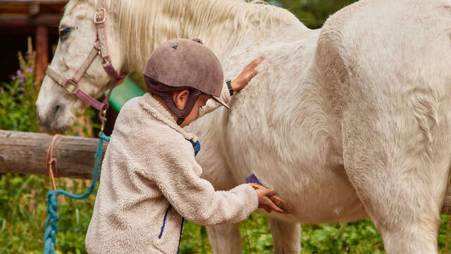 Monde du cheval