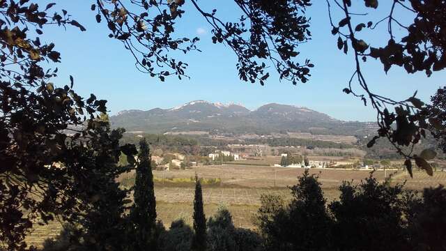 Circuit pédestre - Espace Coste de Coa