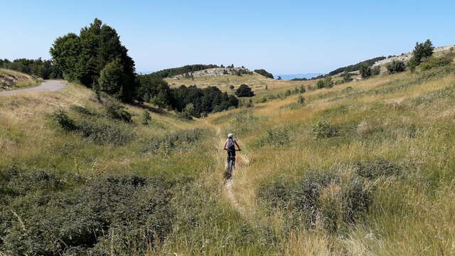 VTT sur la montagne de Lure