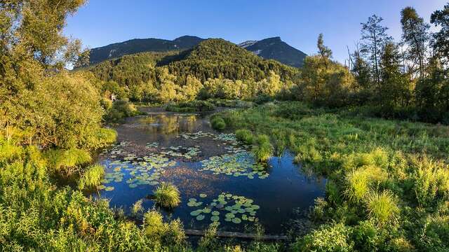 Couleurs végétales, avec Diane Loury