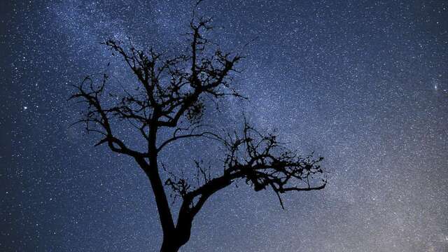 Tant qu'il y aura des étoiles : apéro dînatoire, film et balade nocturne