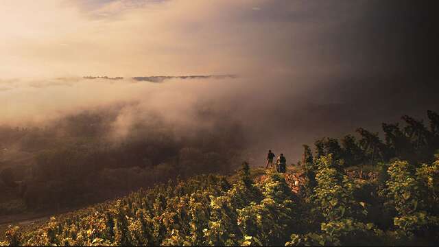 Les chaillées de l'enfer | Rencontre avec le réalisateur et deux femmes vigneronnes