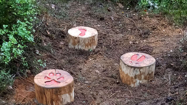 Sentier thématique "Les Croës en forêt"