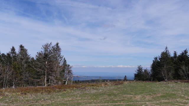 Puy de Montoncel