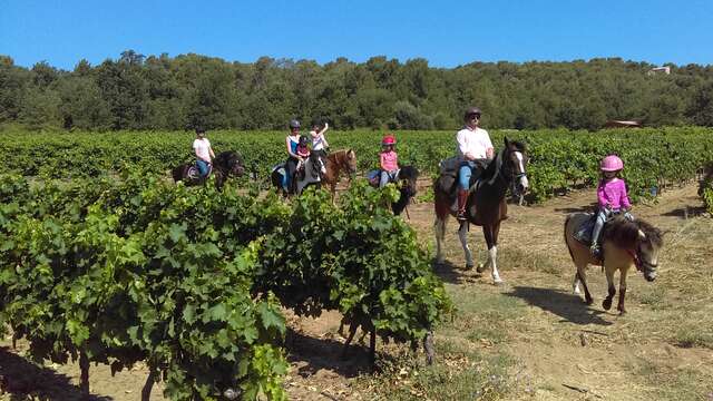 Centre équestre le Poney Rouge