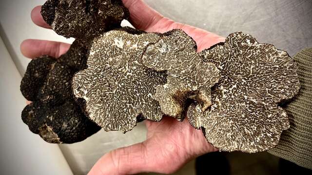 "Soirée Diamant Noir" : menu autour de la truffe à L'Araignée Gourmande