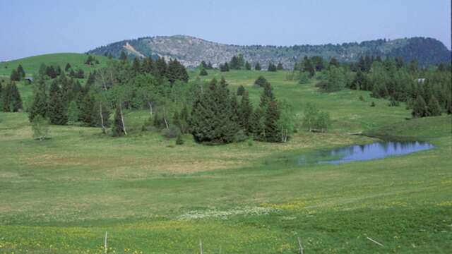 Kamishi'Tourb' : lumière contée sur la tourbière l Renc'Arts du Parc