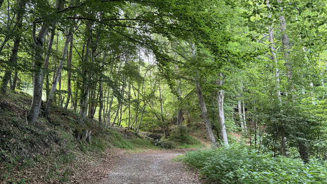 La Plaine de Chabottes