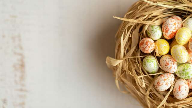 Chasse aux oeufs à la Ferme du Petit Mont