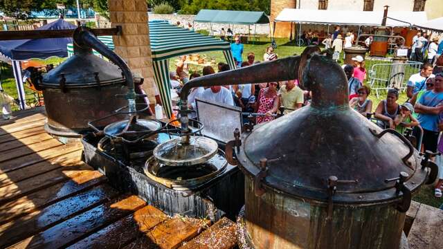 Fête de la lavande fine de Haute-provence