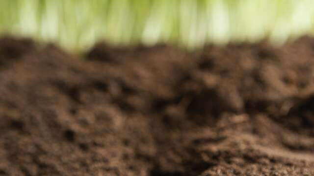 Atelier Altec (6-8 ans) - Le sol sous nos pieds