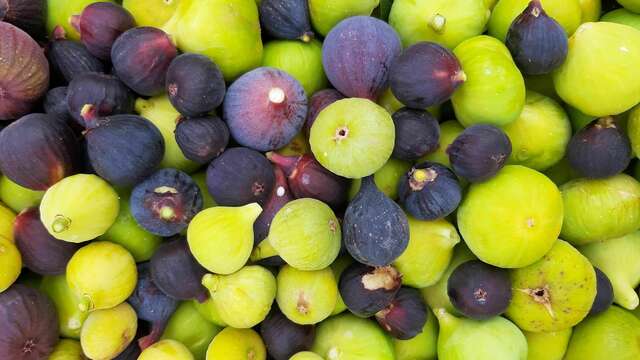 La Figoulade - Fête de la figue de Vézénobres