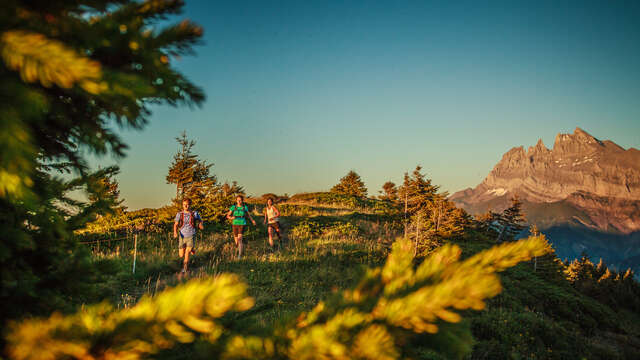 Trail circuit 47 red - Pointe des Follys