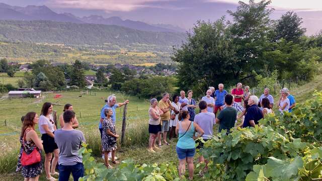 Apéro'vignes à la Maison Philippe Grisard