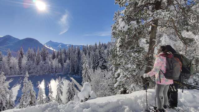 Itinéraire raquettes : Boucle du Lac Vert