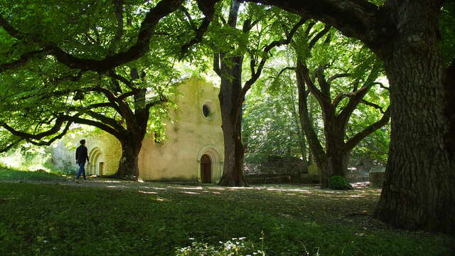 Sur le chemin des plantes de la Montagne de Lure - L'Abbaye de Notre Dame de Lure