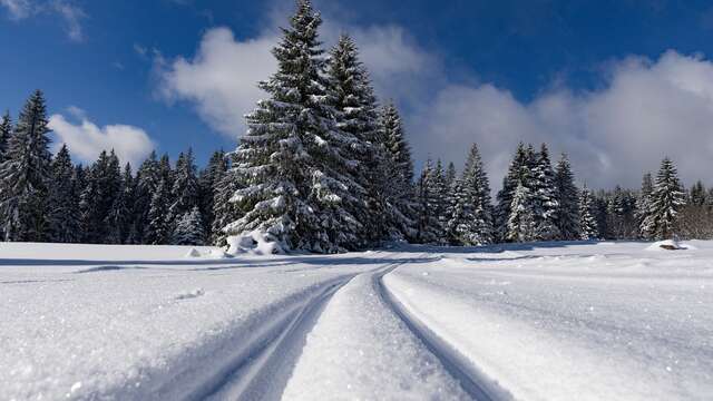 Location de skis - Col de Carri