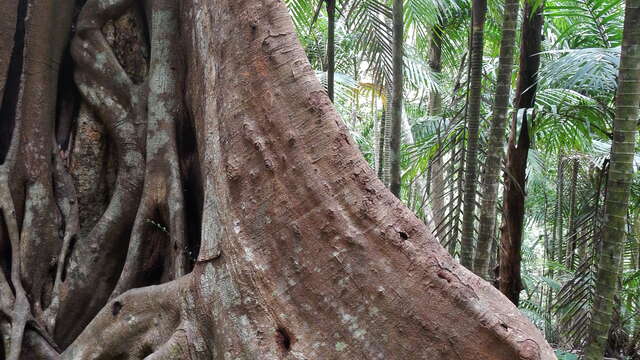 ピック・モニエ遊歩道