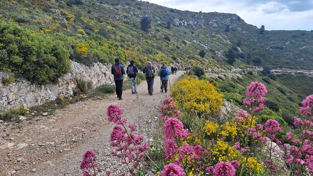 Le vallon de la Figuière - Journée