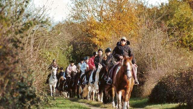 Cours d'équitation