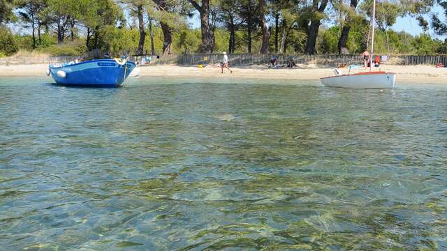 Plage de Pellegrin