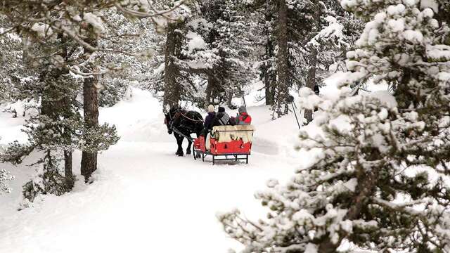 Carrousel des Neiges