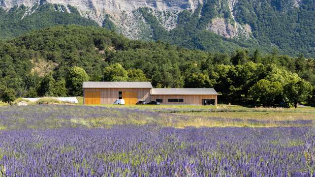 Lavanderaie des Hautes Baronnies