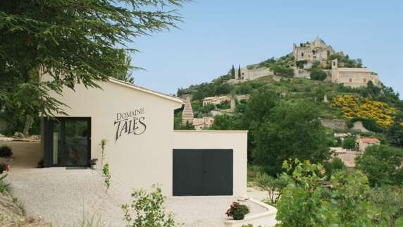 Visite du vignoble et de la cave - Domaine Talès