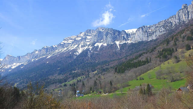 La route forestière du Col de Marcieu