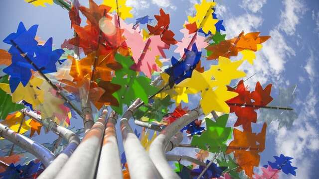 L'Arbre multi couleurs