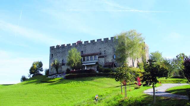 Boucle pédestre du Château - Larringes