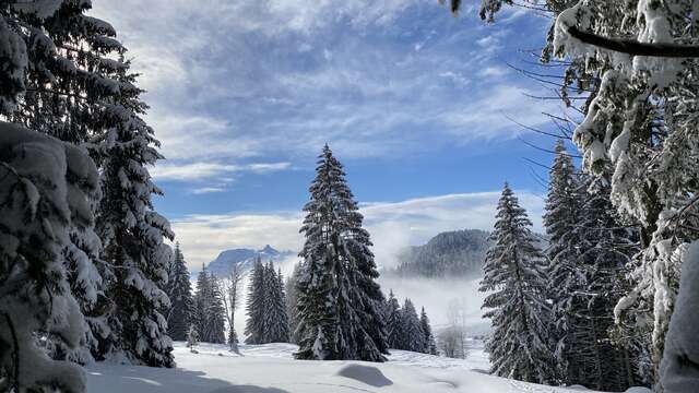 Vecteur Montagne
